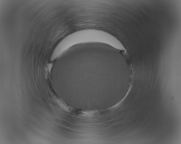 X0000076330190200610201714