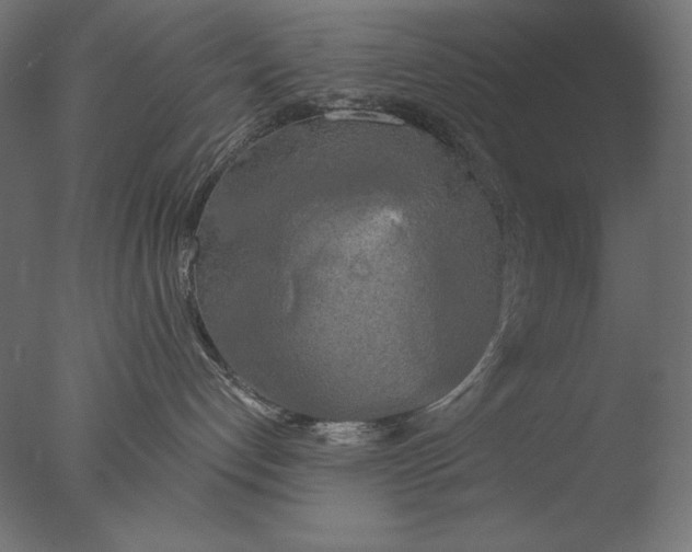 X0000076330192200610201714