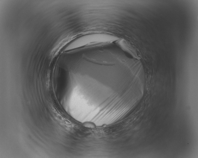 X0000076330194200610201713