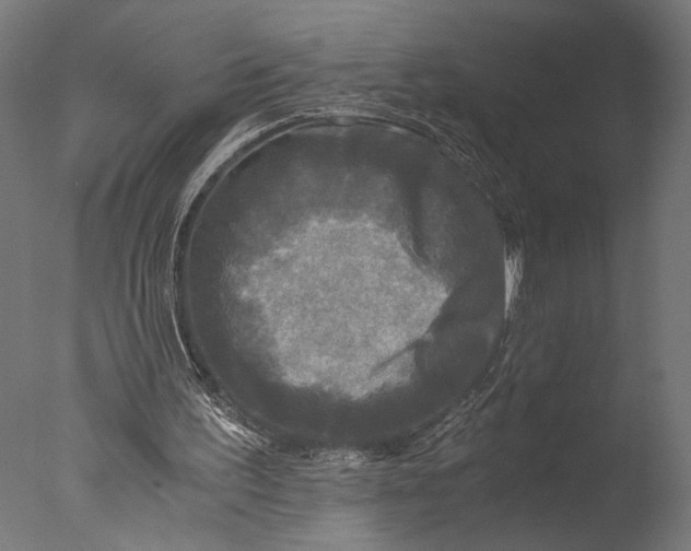 X0000076330195200610201713