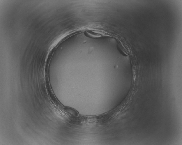 X0000076330196200610201713