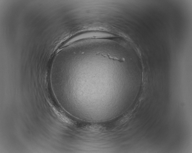 X0000076330201200610201713