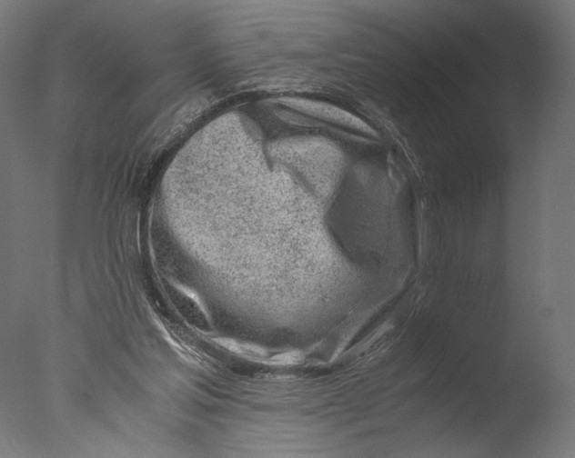 X0000076330205200610201713