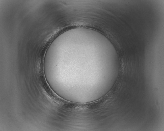 X0000076330208200610201713