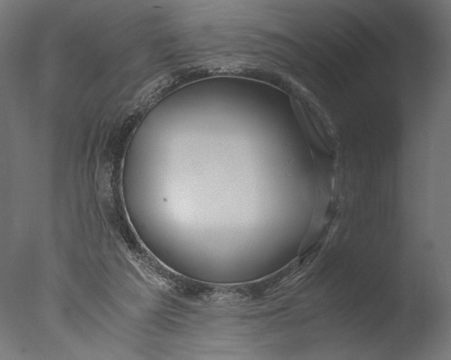 X0000076330209200610201713