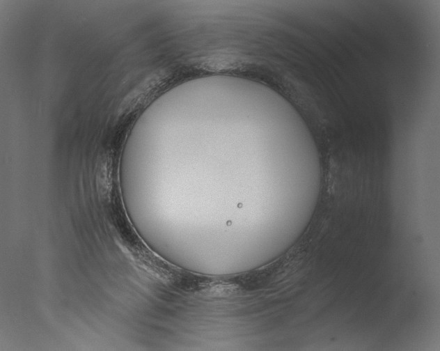 X0000076330210200610201713