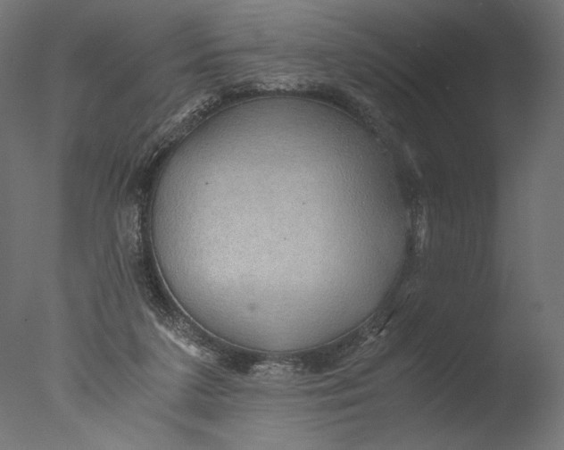 X0000076330211200610201713