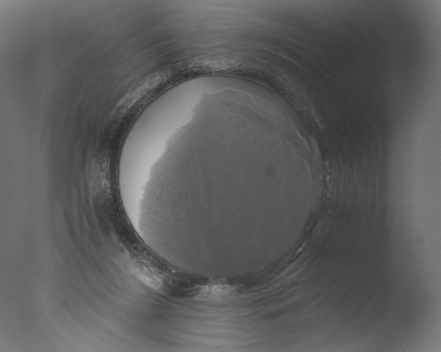 X0000076330212200610201713