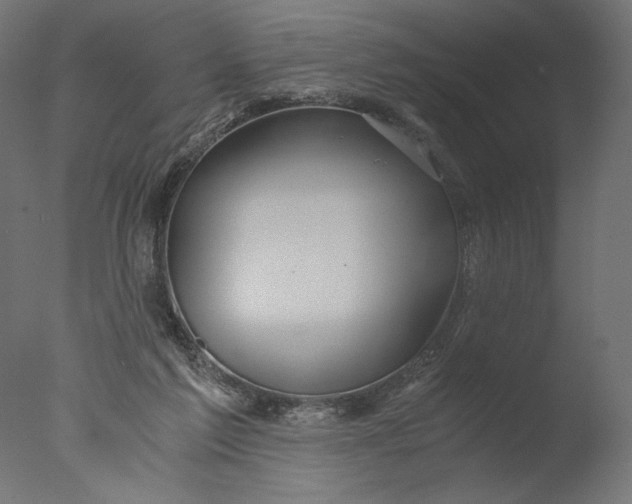 X0000076330213200610201713