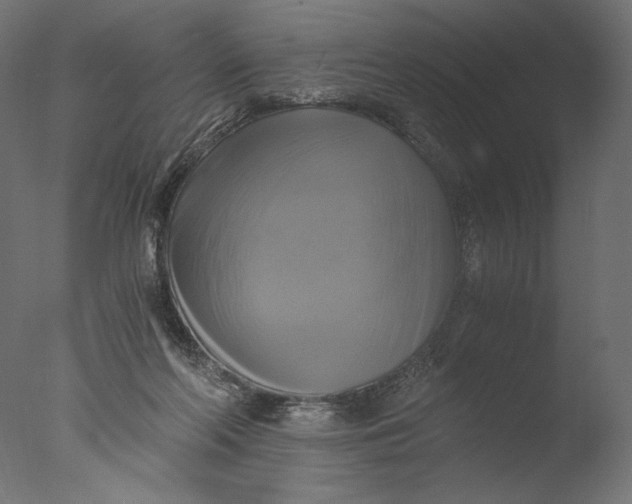 X0000076330214200610201713