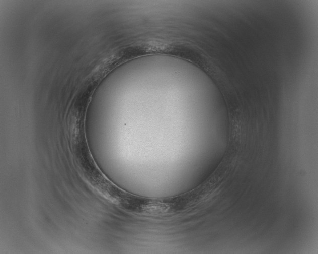 X0000076330215200610201713