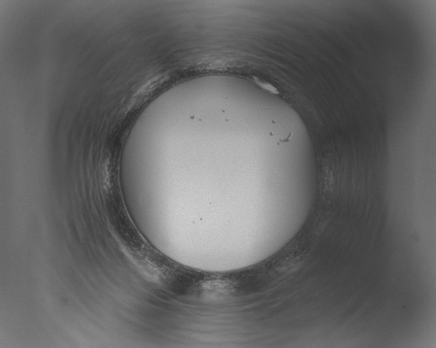 X0000076330216200610201713