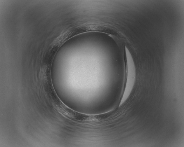 X0000076330217200610201713