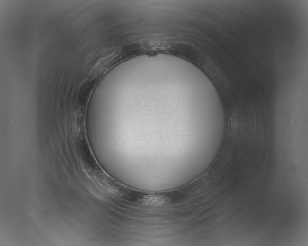 X0000076330218200610201713