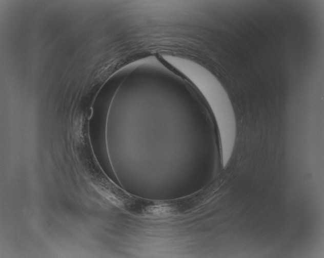 X0000076330219200610201713