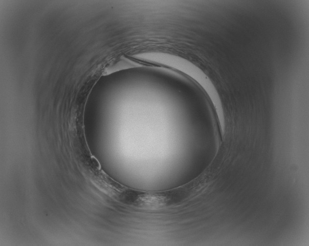 X0000076330221200610201713