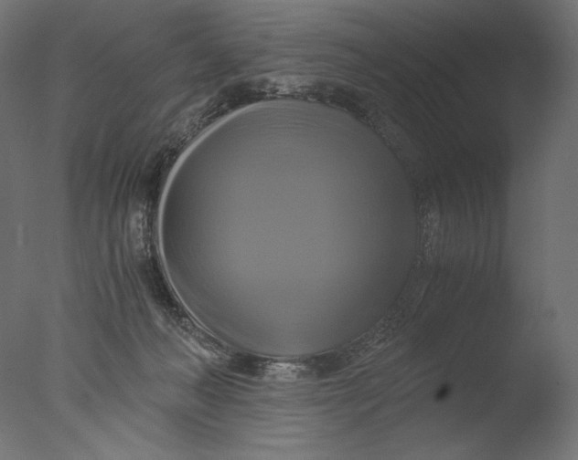 X0000076330222200610201713