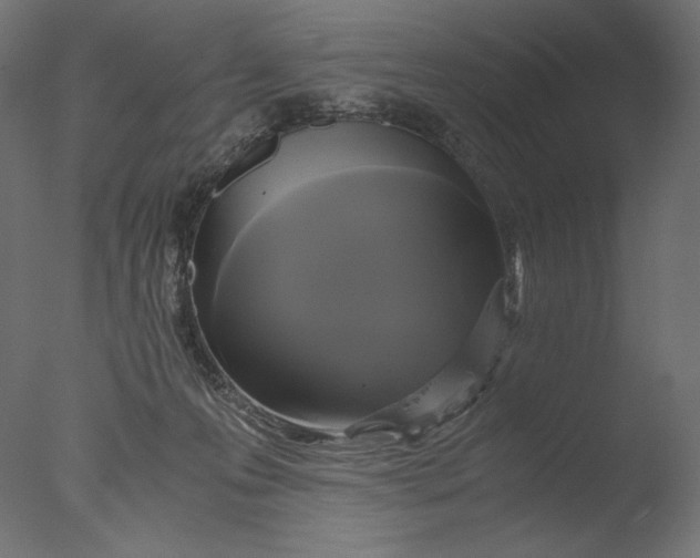 X0000076330223200610201713