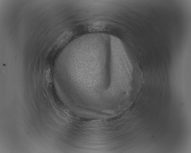 X0000076330224200610201713