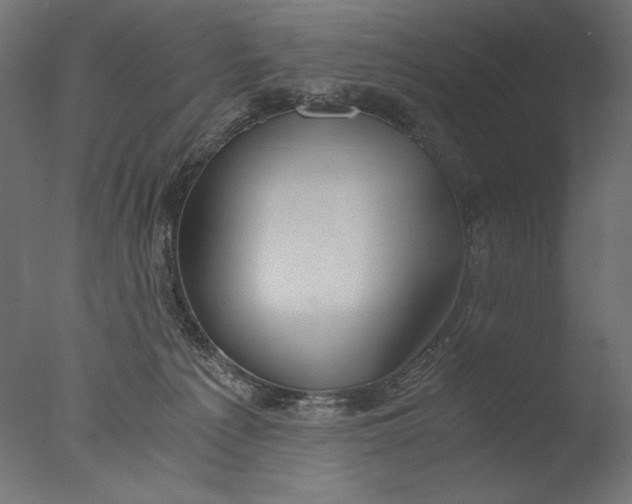 X0000076330225200610201713