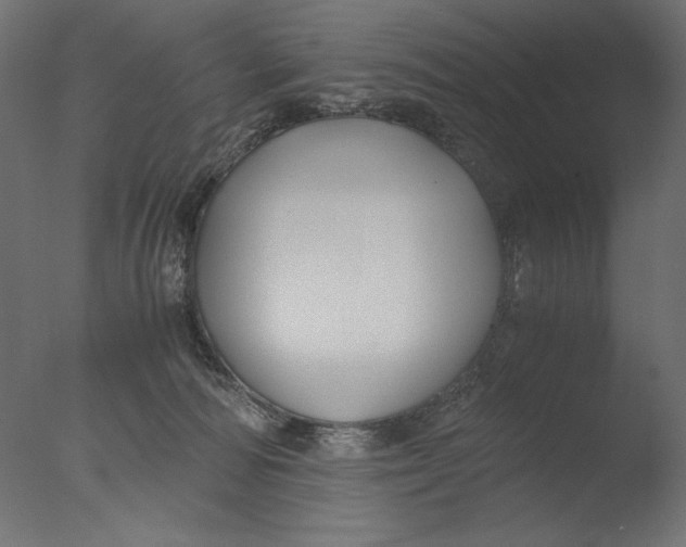 X0000076330226200610201713