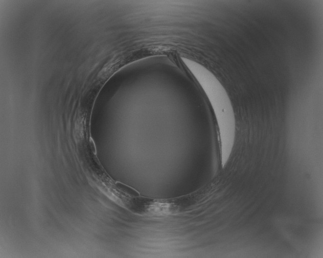 X0000076330227200610201713