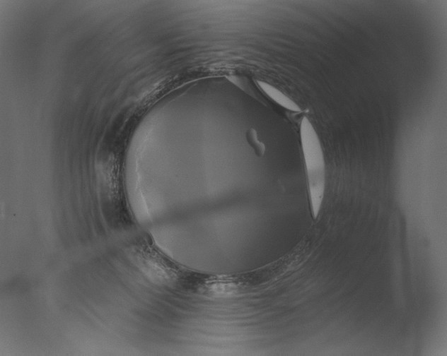 X0000076330228200610201713