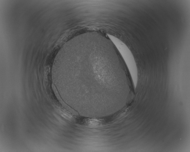 X0000076330229200610201713