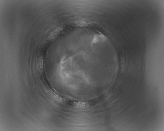 X0000076330230200610201713