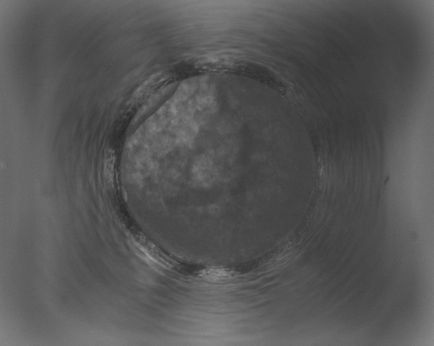 X0000076330231200610201713