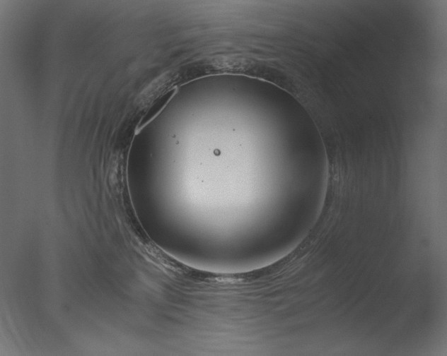 X0000076330233200610201713