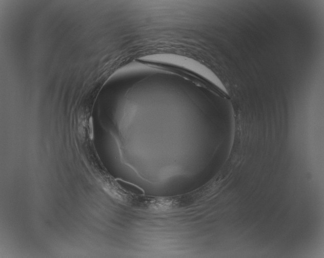 X0000076330235200610201713