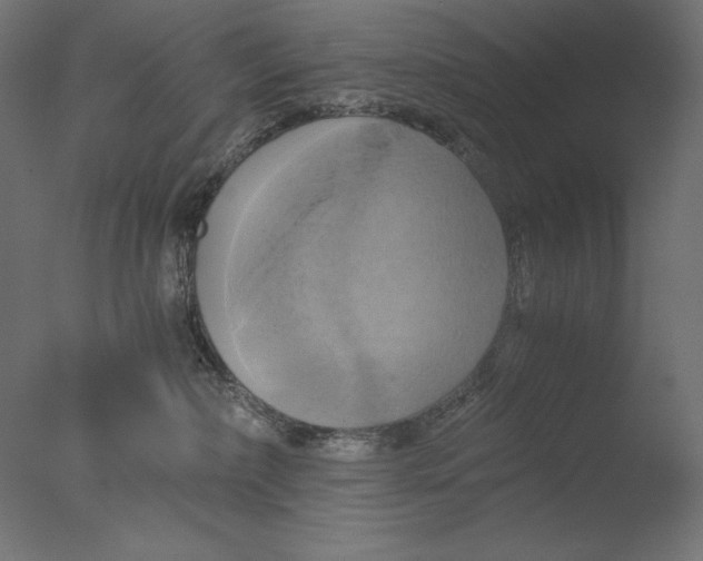 X0000076330236200610201713