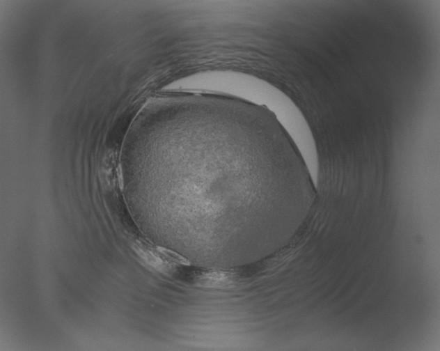 X0000076330237200610201713