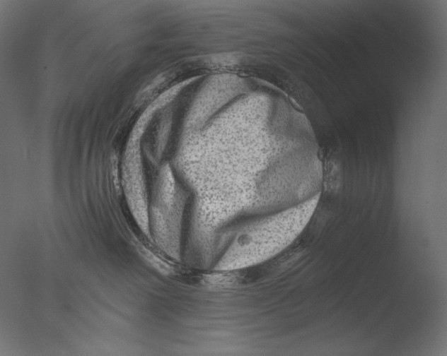X0000076330238200610201713