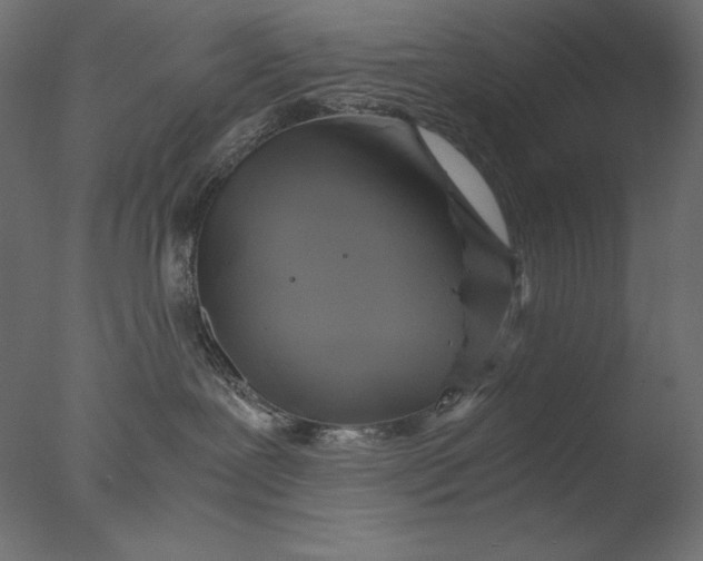 X0000076330239200610201713