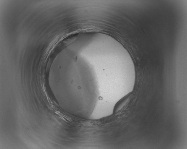 X0000076330241200610201712