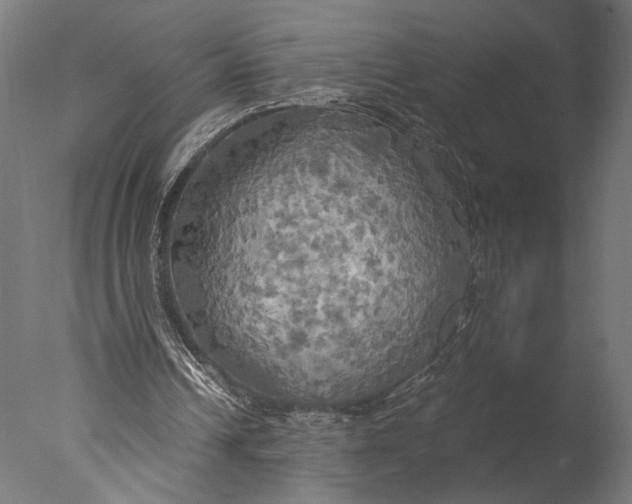 X0000076330242200610201712