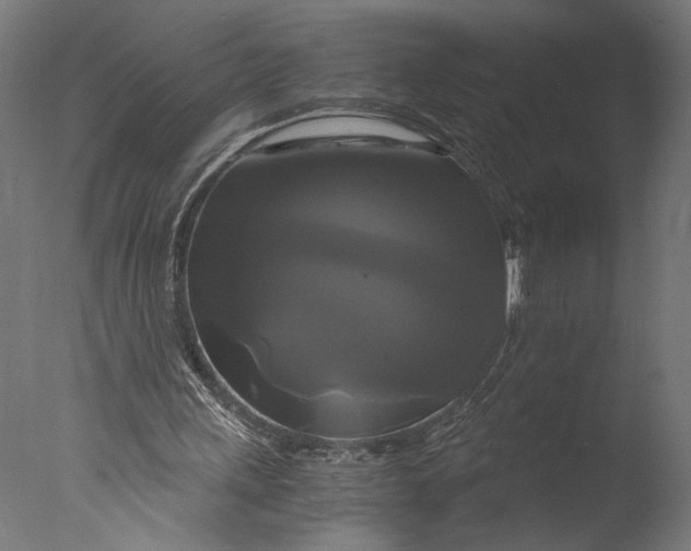 X0000076330243200610201712