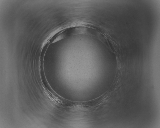 X0000076330244200610201712