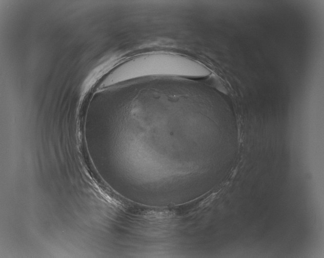 X0000076330245200610201712