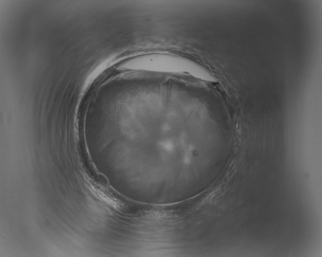 X0000076330246200610201712