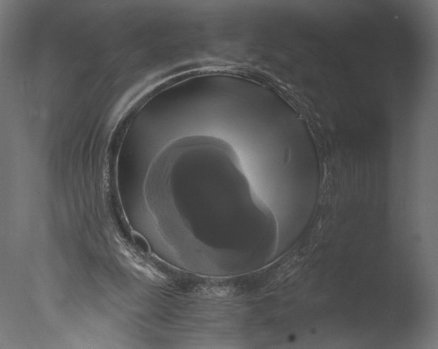 X0000076330247200610201712