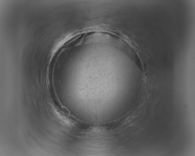 X0000076330248200610201712