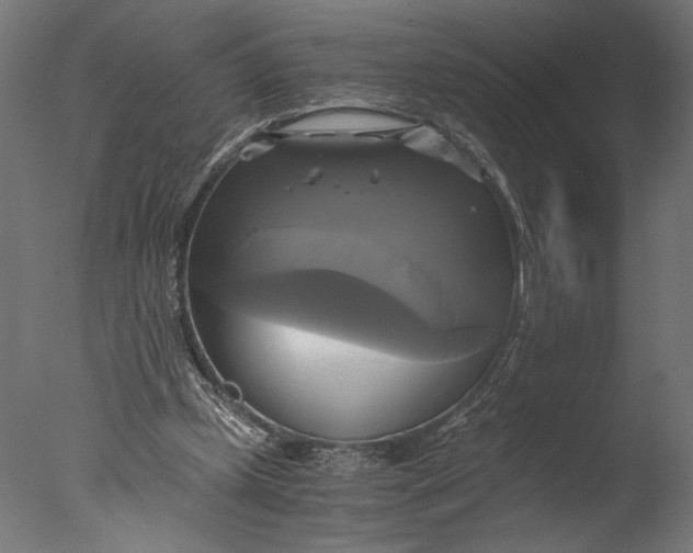 X0000076330249200610201712