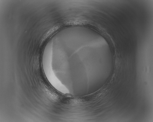 X0000076330250200610201712