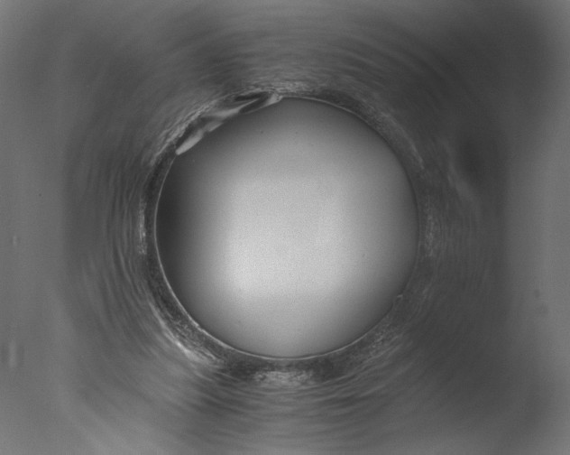 X0000076330251200610201712