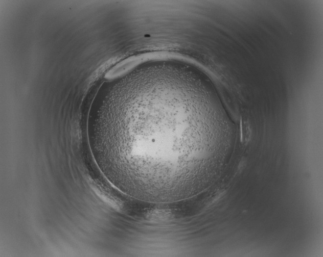 X0000076330252200610201712