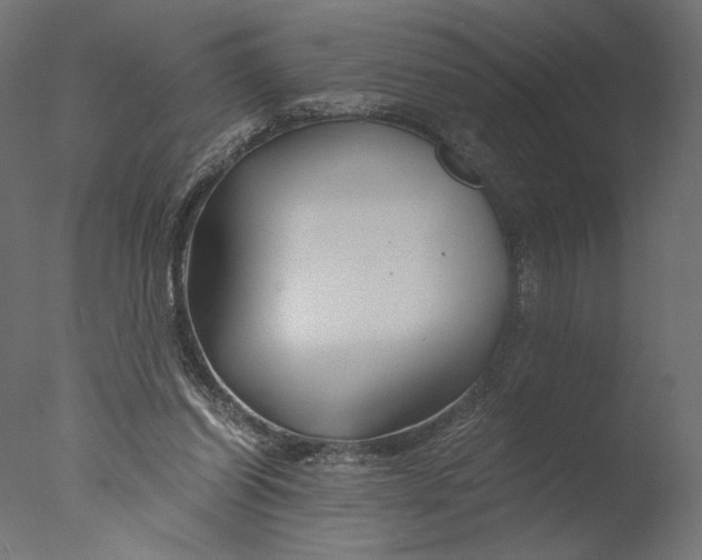 X0000076330254200610201712