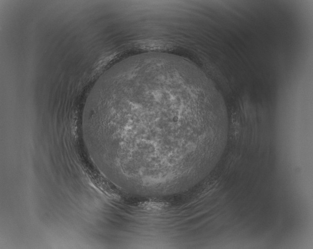 X0000076330255200610201712